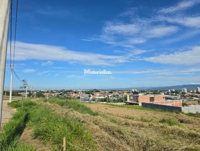 imagem-miniatura