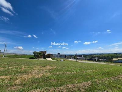 imagem-miniatura