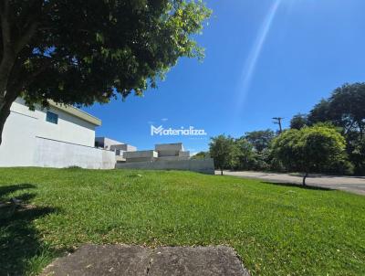 imagem-miniatura