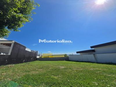 imagem-miniatura